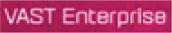 vast enterprise